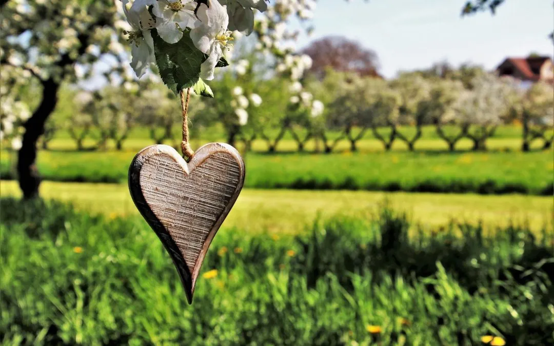 What is Topdressing and Why Do I Need It?