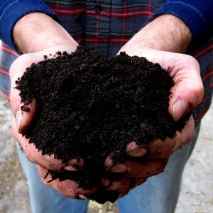 KLS compost soil